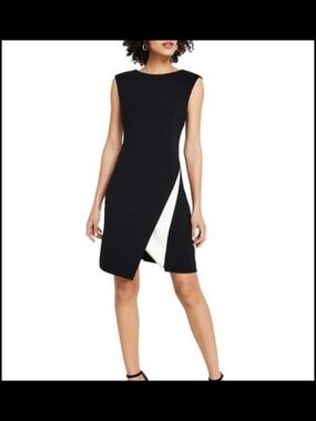 Donna Karen Sleeveless Black Dress with White Inset